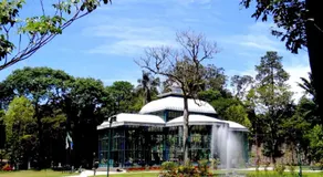 Casa Piabanha - Centro Histórico - Image 4