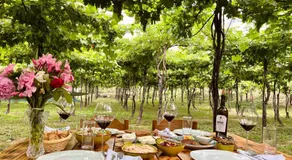 Alpeta Agrotourism & Winery - Roshnik , Berat - Image 5