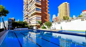 Piscis Of The Sea Benidorm - Image 3