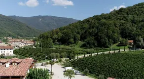 Wine Resort - Image 4