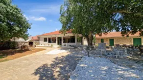 Tosic Estate - Villa, Vineyards and Winery - Image 4