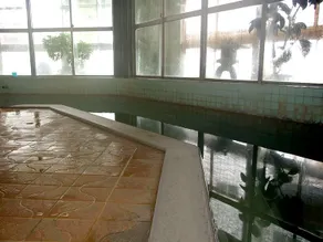 Hanesawa Onsen Katoya Ryokan - Image 2