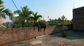 Vista Homestay - Image 3