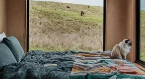 Off-Grid Cabin Nestled in Nature - Pet Friendly - Ottessa - Image 3