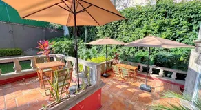 Hotel Boutique Casa Alebrije - Image 5