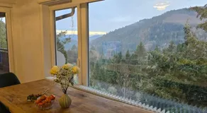 Wohnung im Schwarzwald mit Panorama Blick - Image 5
