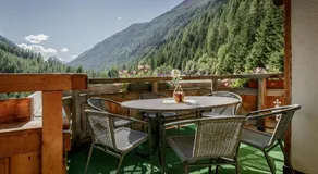 Apart Gentiana - Image 5