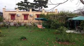 Green Garden - Image 5