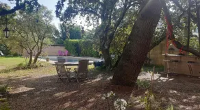 La Vigne et L'Olivier - Image 5