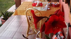 Il Vigneto B&B - Image 4