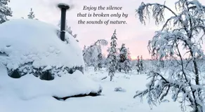 Arctic Nature Experience Glamping - Image 5