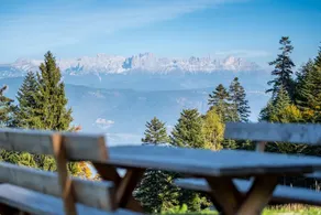 Sissi Queen Chalet mit Weitblick | SPA | Naturnah - Image 3