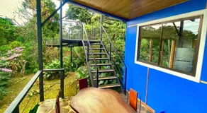 Natural Wonders House - Image 2