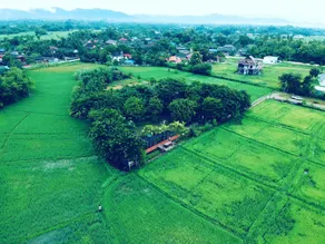 BREATHE - Rice Valley - Image 3