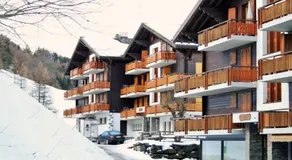 Mayens de l Ours DZ 130 - MOUNTAIN apartment 8 pers - Image 3