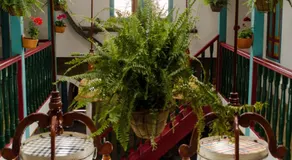 HOTEL COLONIAL VILLA CARMELA - Image 3