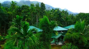 Shibi's Tea Garden Heritage - Image 3