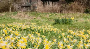 Johnby Hall - Image 4