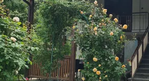 Nayri HOUSE Самоков,село Доспей - Image 4