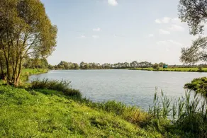 Picturesque farmstead in Belovezhskaya Pushcha - Image 3