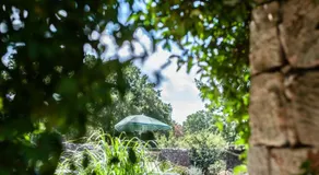 Masseria Trullo Sovrano Exclusive B&B - Image 5