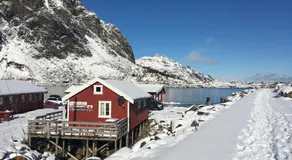 Lofoten Fishing - Image 3