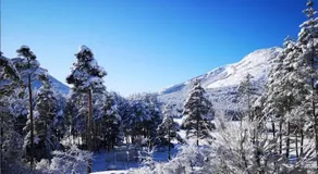 Les insolites de la bastide - Image 5