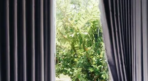 Homestay t h o n g d o n g - Image 2
