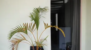 Espaço AGA Room - Image 4