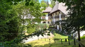 Ferienwohnung in Triberg am Waldrand - idyllisch, ruhig, erholsam - Image 4