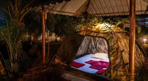 Dandeli Green Adventure Resort - Image 5