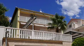 Two Palms - Image 5