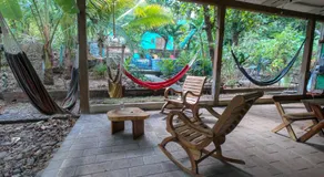 Hammock plantation - Image 4