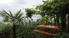 Hitas house - Image 5