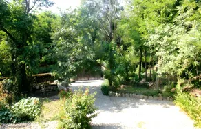 Meditative Meadows - Image 3