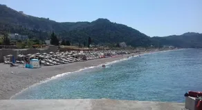 Bluflest - Image 4