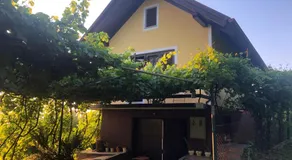 Adorable guesthouse in the middle of vineyards - Image 4