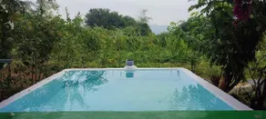 Aalamaram Farm, Where life blooms gracefully. - Image 4