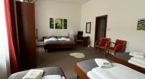 Pivovarsky Hotel Kojetín u Kroměříže - Image 2