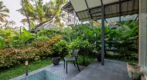 Mango Lantern - Image 5