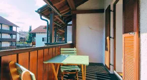 Designapartment Zwiesel Pool Sauna AktivCard Balkon Bayerischer Wald - Image 5