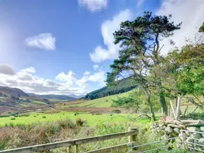 Mountain View Farm - Image 2