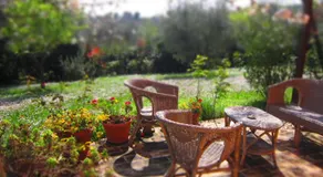 B&B Viadelcampo - Image 5