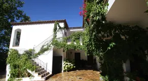 Apartamento Rural Las Palmeras - Image 4