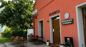 Elodia - Image 4