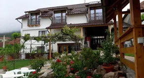 Casa Sviniceană - Image 3