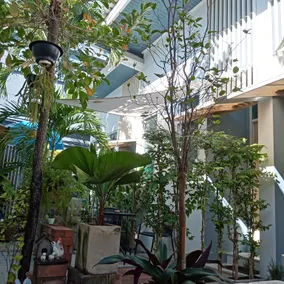 Daddy's home Huahin - Image 3
