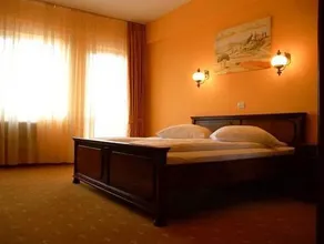 Hotel Coandi - Image 5