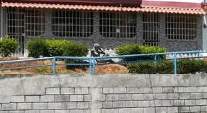 Belis - Image 4
