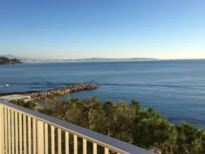 Fettolina Palm Beach, Location Cannes front de mer et plage - Image 2